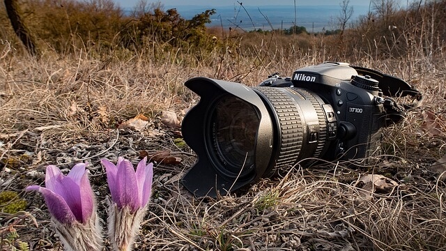 Fotocamere digitali reflex e compatte