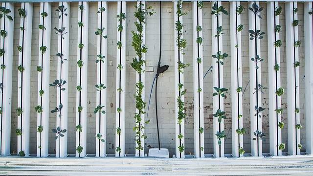 Vertical Farm coltivazione in verticale