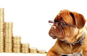 Aprire un conto corrente online gratis: come fare Banca di Piacenza: Conto Corrente Amici Fedeli