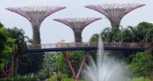 Singapore: cosa vedere nella “città dei leoni” Vacanza a Singapore