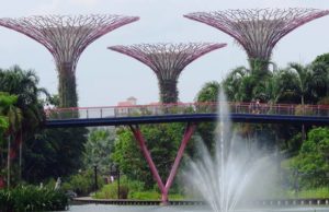 Singapore: cosa vedere nella “città dei leoni” Vacanza a Singapore