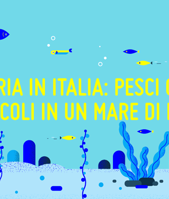 Editoria in Italia: ecco quali sono le regioni dove si legge di più Infografica sullo stato dell'editoria in Italia