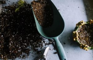 Attrezzatura da giardinaggio: i vantaggi delle macchine a batteria Attrezzatura da giardino