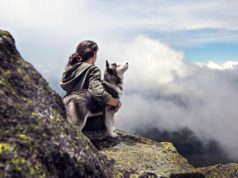 Come funziona la cremazione degli animali domestici? Costi cremazione cane