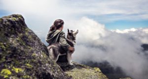 Come funziona la cremazione degli animali domestici? Costi cremazione cane