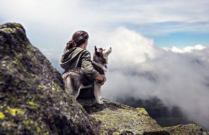 Come funziona la cremazione degli animali domestici? Costi cremazione cane