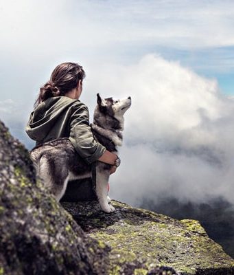 I benefici degli animali da compagnia Costi cremazione cane