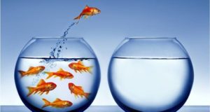 Mutuo surroga: cos’è e come funziona Surroga mutuo casa