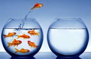 Mutuo surroga: cos’è e come funziona Surroga mutuo casa