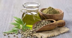 CBD e CBG: effetti benefici e controindicazioni dei due potenti cannabinoidi Olio di CBD online