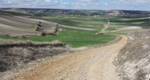 Come prepararsi al Cammino di Santiago: consigli utili Prepararsi al Cammino di Santiago