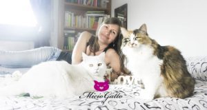 Hai un gatto? Scopri come farlo vivere bene MicioGatto.it