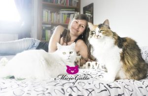 Hai un gatto? Scopri come farlo vivere bene MicioGatto.it