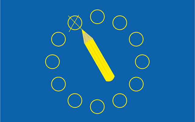 Elezioni europee 2019 come si vota