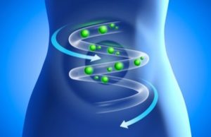 Fermenti lattici vivi: perché assumerli? Promuoviamo il benessere intestinale Fermenti lattici