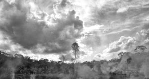 Amazzonia, incendi e deforestazione: quando smetteremo di essere indifferenti? Amazzonia incendi deforestazione