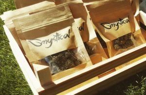 Coronavirus: gli effetti sul mercato della canapa light in Italia Cannabis light