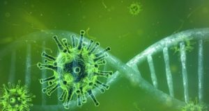 Con la Pandemia aumentano le disuguaglianze sociali negli Stati Uniti Coronavirus