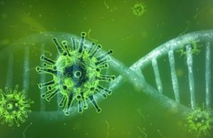 Con la Pandemia aumentano le disuguaglianze sociali negli Stati Uniti Coronavirus