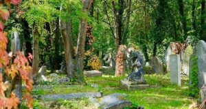 Anche la morte può diventare “ecosostenibile” Cimitero