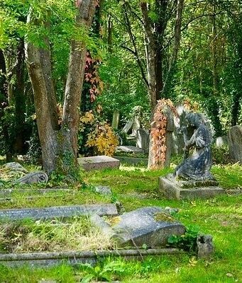 Anche la morte può diventare “ecosostenibile” Cimitero