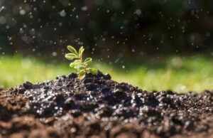 Pozzi neri e fosse biologiche: qual è la differenza? Pozzi neri e fosse biologiche