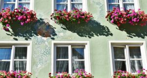 Come scegliere le fioriere giuste per le proprie piante e fiori Fioriere