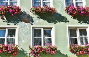 Come scegliere le fioriere giuste per le proprie piante e fiori Fioriere