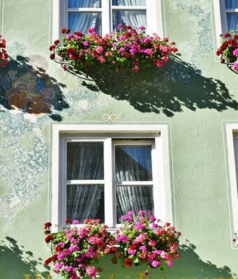 Come scegliere le fioriere giuste per le proprie piante e fiori Fioriere