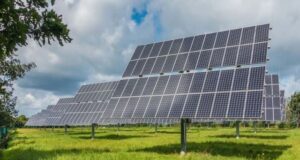 Italia green: si acquistano sempre più prodotti sostenibili Green