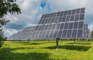 Italia green: si acquistano sempre più prodotti sostenibili Green