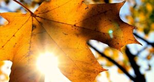 Meteo: le previsioni del tempo per oggi 30 ottobre 2020 Previsioni meteo