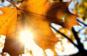 Meteo: le previsioni del tempo di oggi 10 novembre 2020 Previsioni meteo