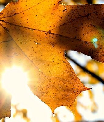 Meteo della settimana: persiste il bel tempo ma con nebbie sulle pianure Previsioni meteo