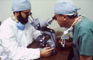 Scoperta una sostanza naturale che uccide il Covid Scienziati