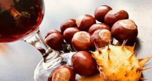 Vino novello: cos’è, caratteristiche e abbinamenti Vino novello