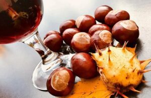 Il mercato dei vini francesi: tendenze e sviluppi Vino novello