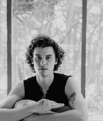 Shawn Mendes: In wonder, in uscita il documentario su Netflix Shawn Mendes