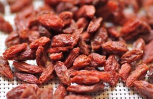 Bacche di goji: che cosa sono e che benefici portano al nostro organismo Bacche di goji
