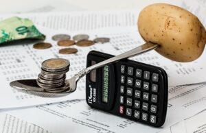 Bonus spesa da 500 euro nel Decreto Ristori ter: come richiederlo Bonus spesa