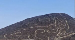 Perù: trovato a Nazca un gatto disegnato di 37 metri Gatto di Nazca