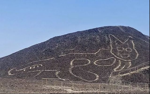 Gatto di Nazca