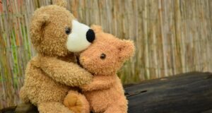 Lockdown, Belgio: arriva il “compagno di coccole” per i single Belgio lockdown