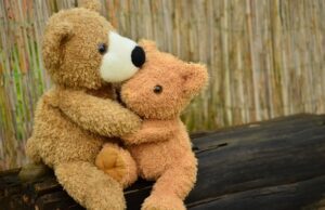 Lockdown, Belgio: arriva il “compagno di coccole” per i single Belgio lockdown