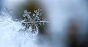 Meteo della settimana: freddo, gelo e neve anche in pianura Meteo freddo e neve