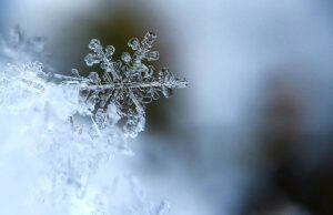 Milano sotto la neve, allerta meteo arancione in Lombardia Meteo freddo e neve