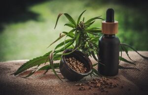 Cannabis e sport: una combinazione benefica o dannosa? Semi di cannabis
