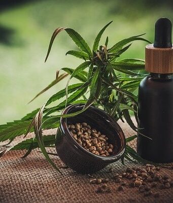 I diversi tipi di fioritura del CBD/della cannabis Semi di cannabis