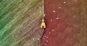 Certificazione ISO 22005: la tutela della filiera Certificazione Iso 22005