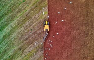 Certificazione ISO 22005: la tutela della filiera Certificazione Iso 22005